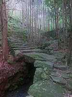 古道.jpg